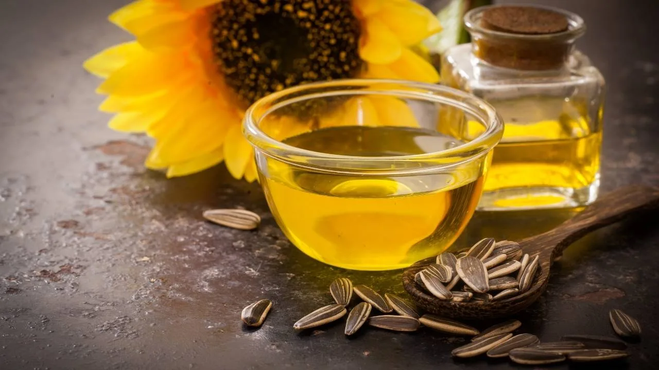 Conheça os benefícios do óleo de girassol para sua pele.