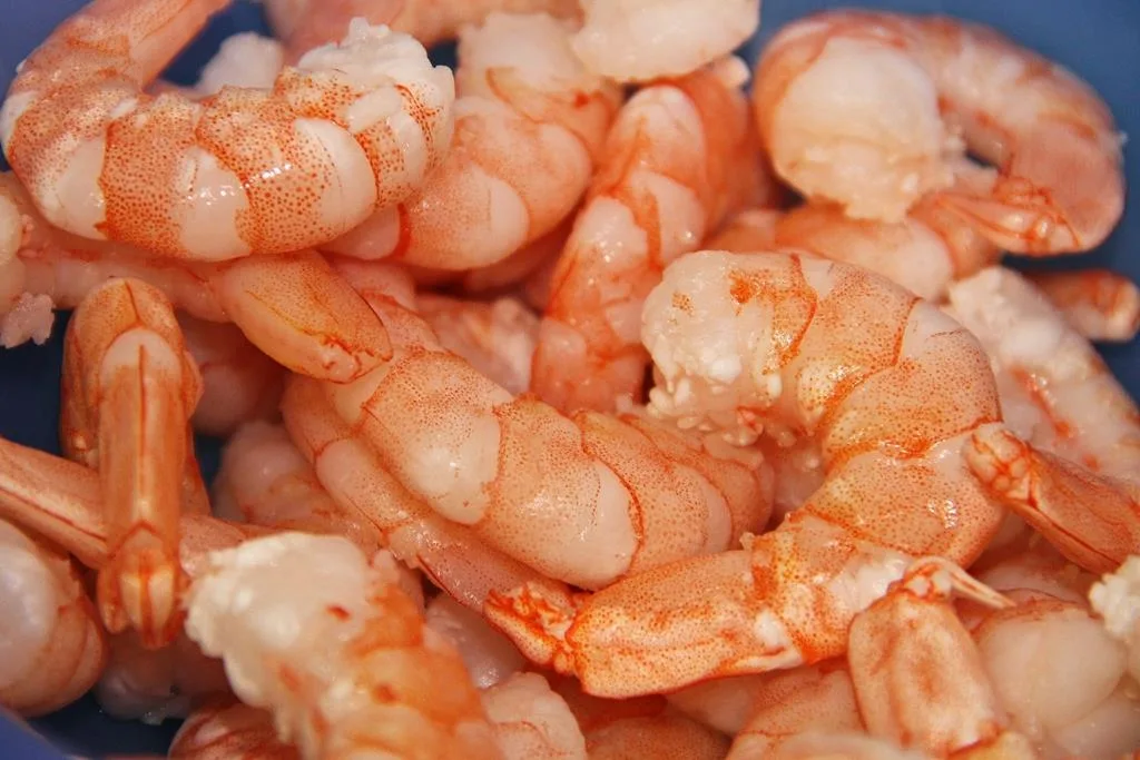 o camarão é um dos frutos do mar mais ricos em ômega 3, sendo importante dar preferência aos mais frescos para conseguir maiores concentrações da gordura