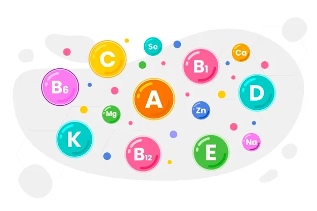 Vitamina que mais se adéqua as suas necessidades