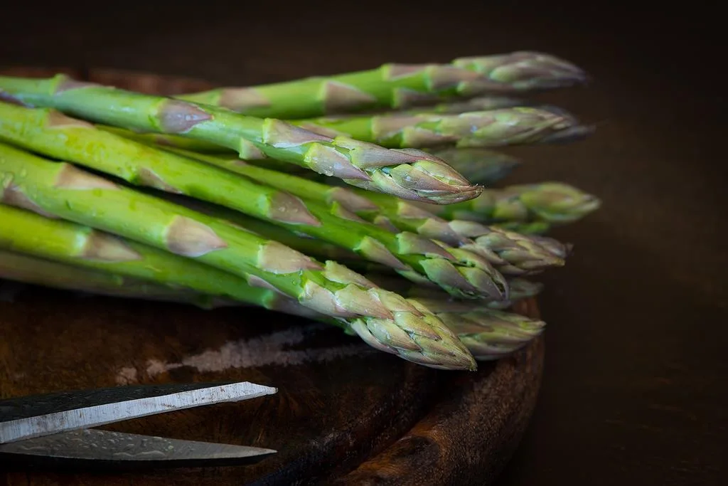 o aspargo é um vegetal rico em substâncias que promovem a diurese