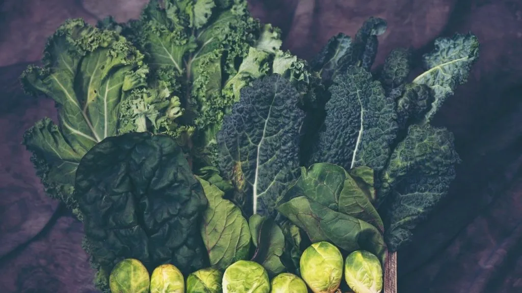 Sob uma mesa, estão dispostos folhas verdes, como por exemplo, couve, alface, couve-de-bruxelas, exemplos de verduras que fornecem vitamina para cabelos.