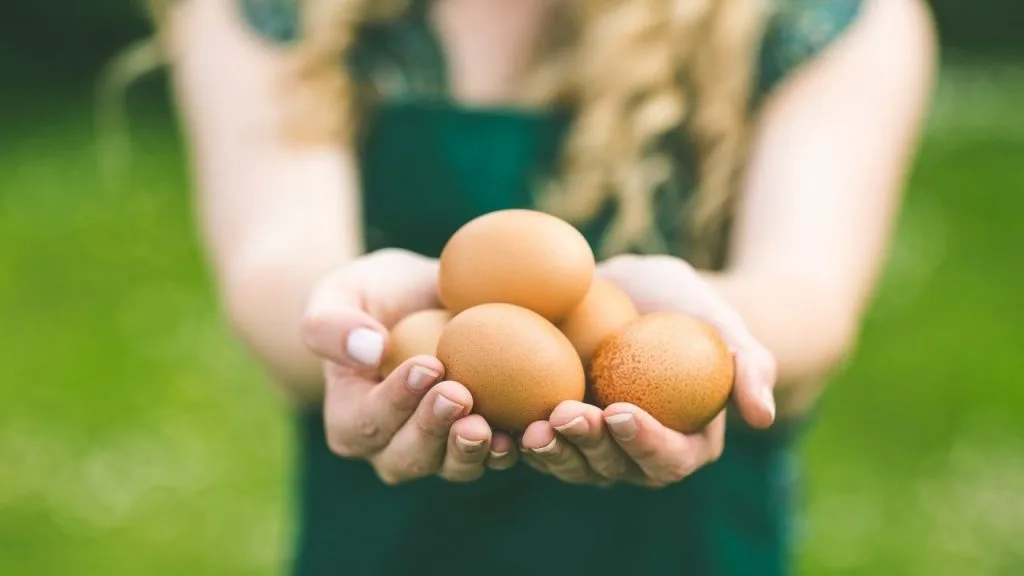 Uma mulher, segurando com as duas mãe, cinco unidades de ovos.
