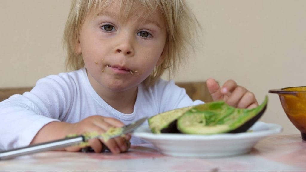 É possível consumir as vitaminas do complexo b a partir do abacate.