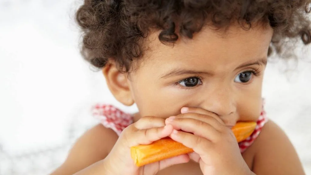 Incluir cenouras na alimentação é importante para repor vitamina A para crianças.