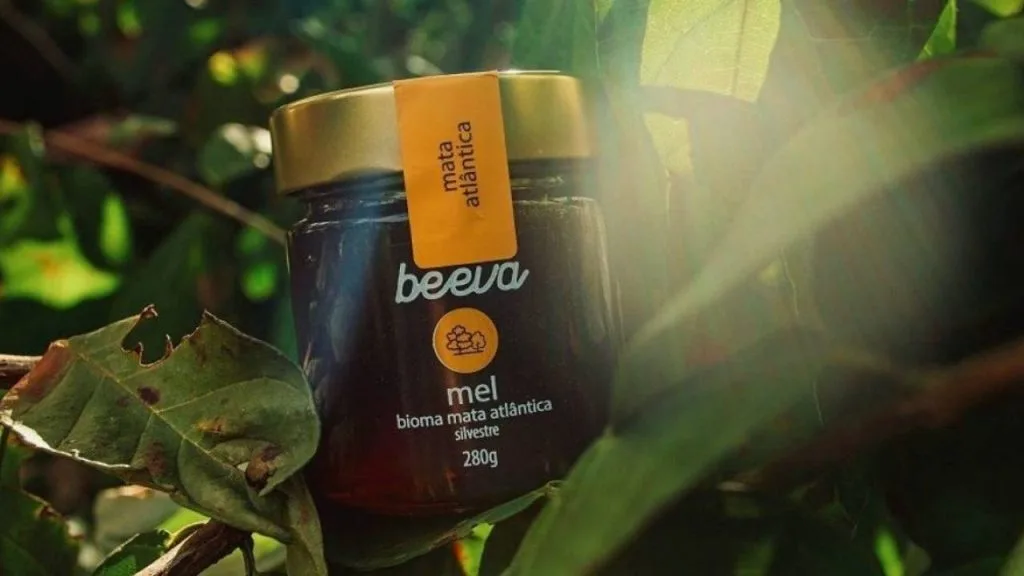 Conheça os benefícios do mel Beeva.