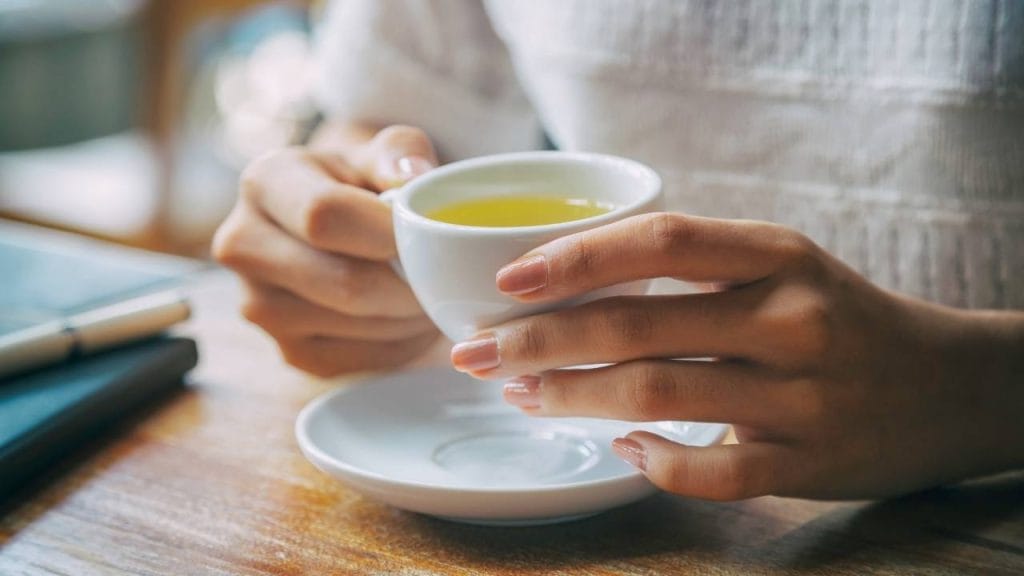 Algumas plantas medicinais não são recomendadas para utilizar durante a lactação.