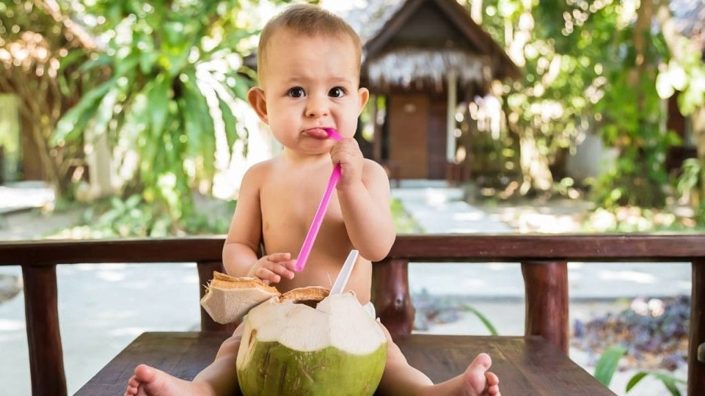 O bebê pode beber água de côco a partir dos 6 meses, quando inicia-se a introdução alimentar