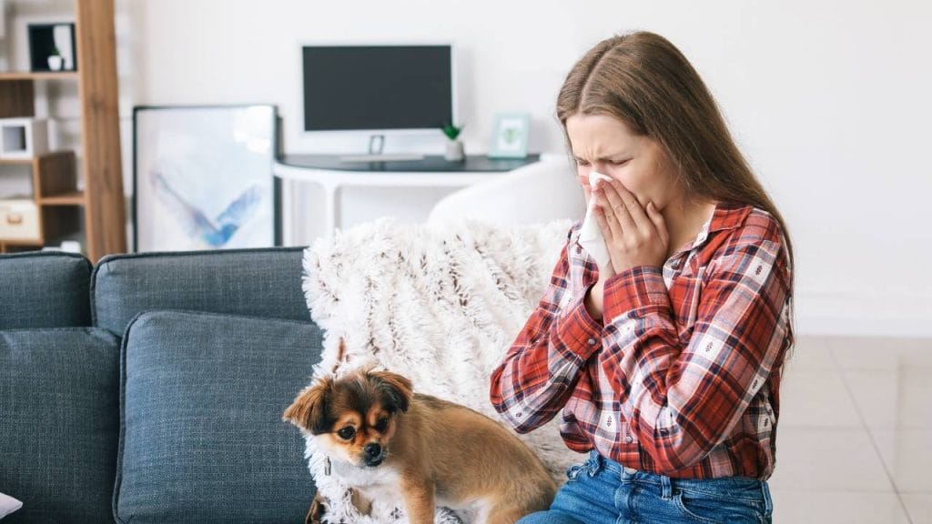 As crises de asma surgem sempre qual a pessoa entra em contato com agentes alérgenos.