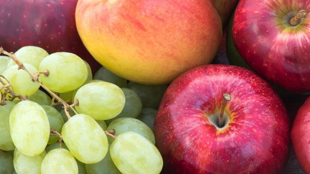 prefira sempre as frutas com a casca