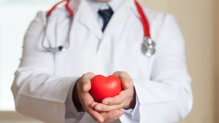 Dia Nacional do Combate ao Colesterol: Saiba mais sobre a condição!