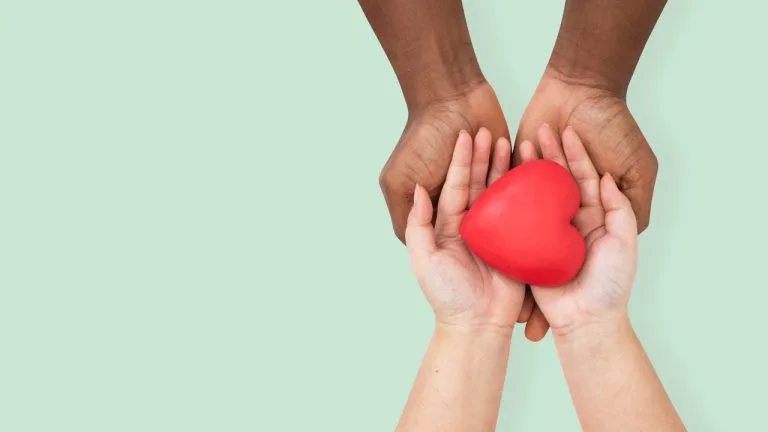 Conheça a importância da doação de sangue e outras curiosidades.