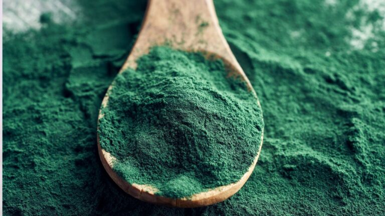 colhar com spirulina