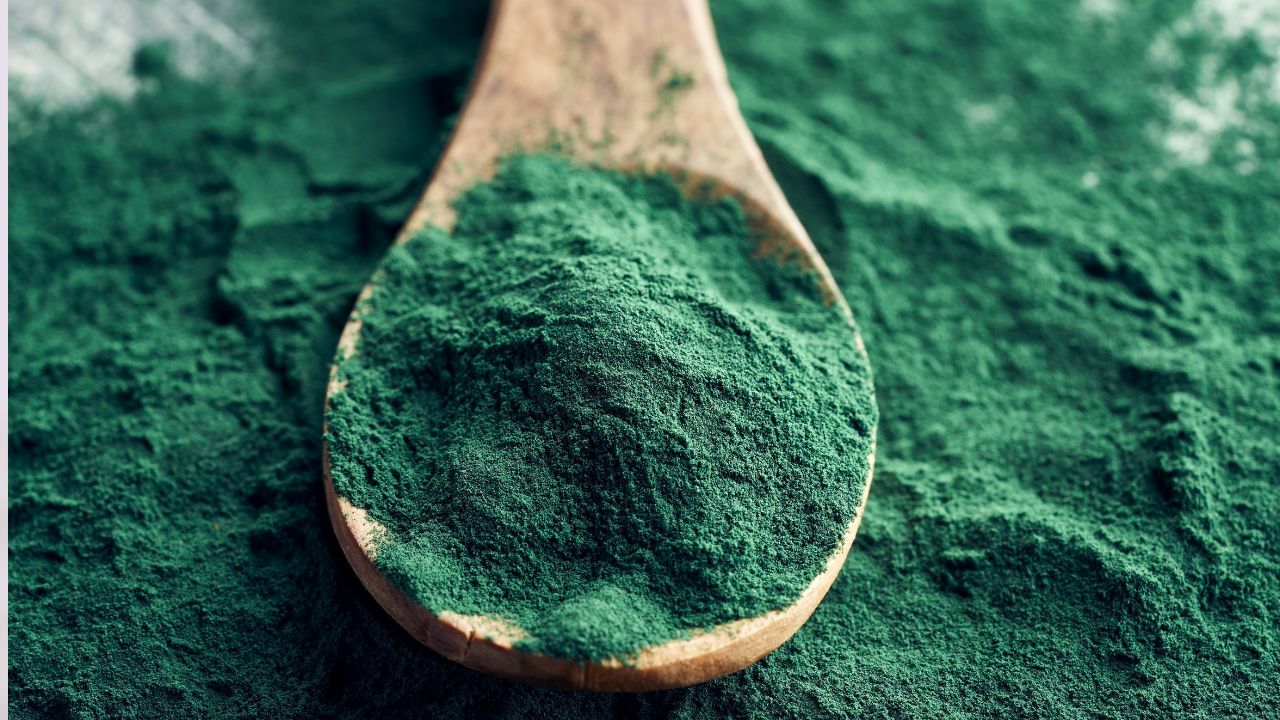 colhar com spirulina